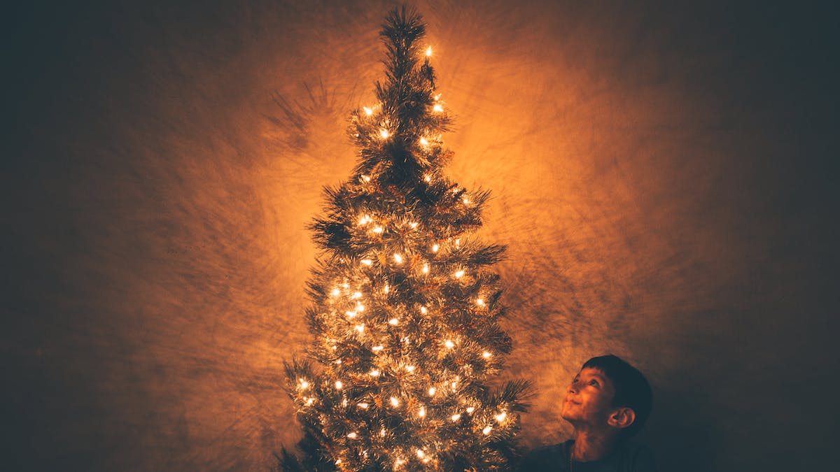 Feliz Navidad niño contemplando árbol de Navidad lleno de luces doradas