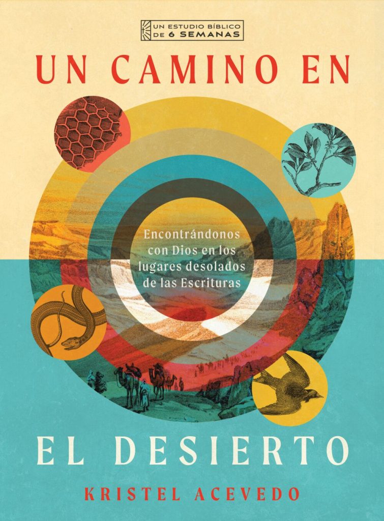 Un camino en el desierto Encontrándonos con Dios en los lugares desolados de las Escrituras--Un estudio bíblico de 6 semanas con acceso a video