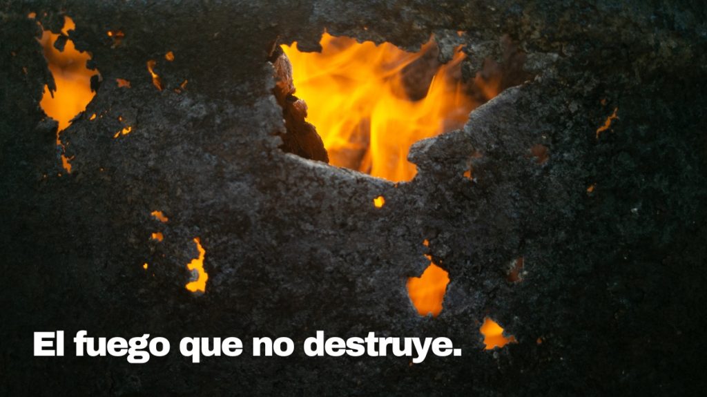 El fuego que no destruye, devocional, Charles Spurgeon