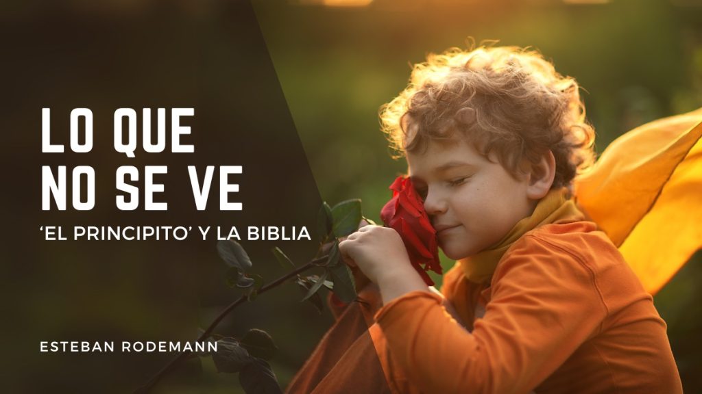 niño rubio con pelo rizado vestido de el principito de exupery sujetando una rosa roja al atardecer